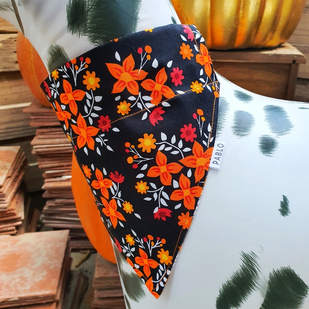 🐶 5 for $15 * Pablo Fall Floral Plaid Cotton Dog Bandana - Picture 6 of 8